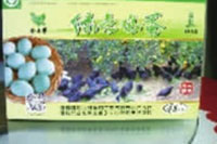 永信贵宾会217,油茶莳植生产加工销售,植物油莳植生产加工销售