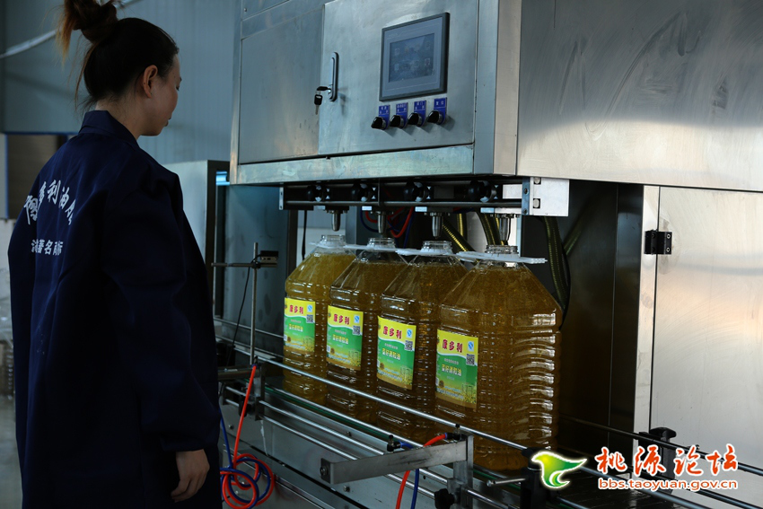 永信贵宾会217,油茶莳植生产加工销售,植物油莳植生产加工销售