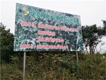 永信贵宾会217,油茶莳植生产加工销售,植物油莳植生产加工销售